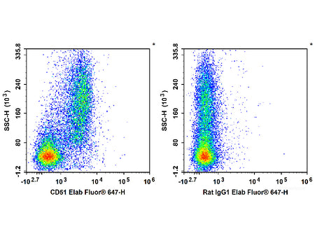 Biotin Anti-Mouse CD51 Antibody[RMV-7]