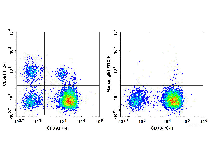 FITC Anti-Human CD56/NCAM Antibody[5.1H11]