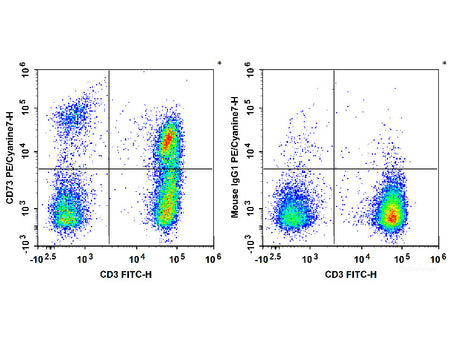 PE/Cyanine7 Anti-Human CD73 Antibody[AD2]