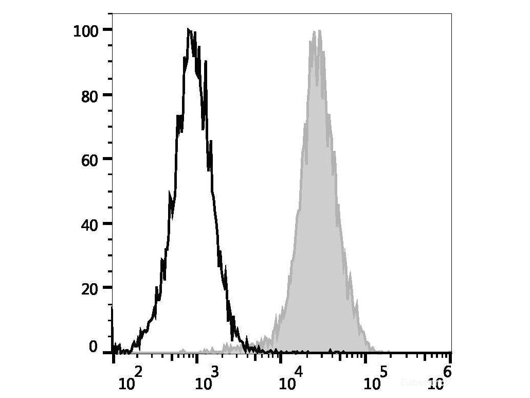 PE Anti-Mouse CD107a/LAMP-1 Antibody[1D4B]