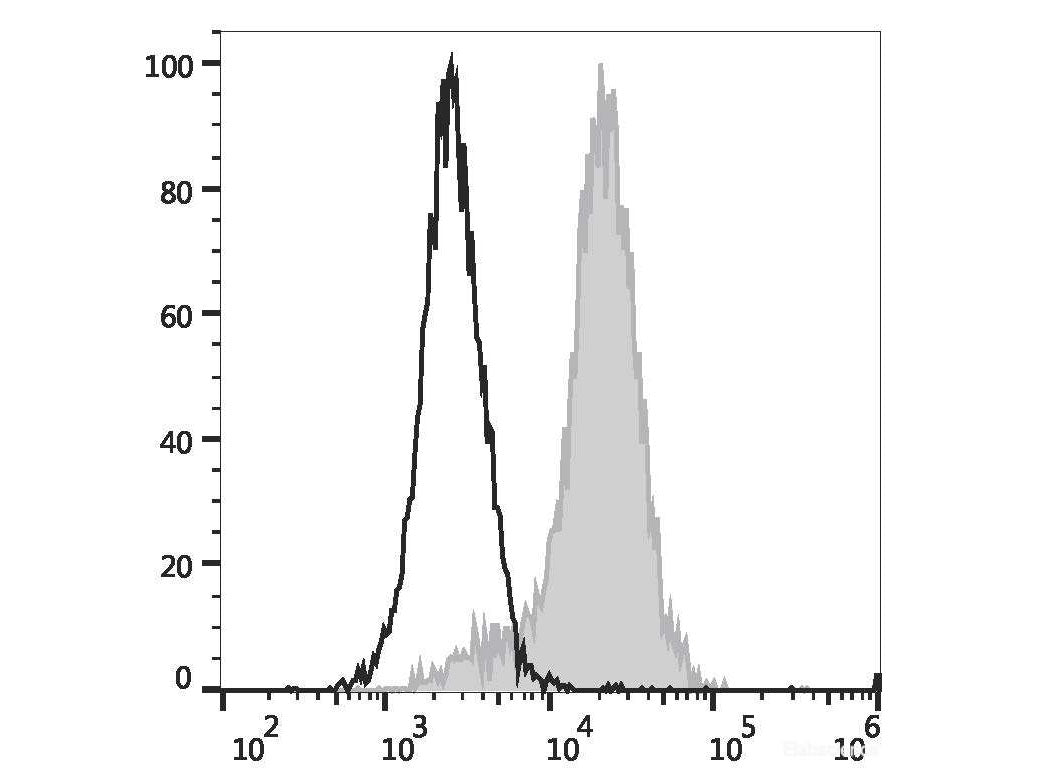 PE/Elab Fluor® 594 Anti-Mouse CD107a/LAMP-1 Antibody[1D4B]