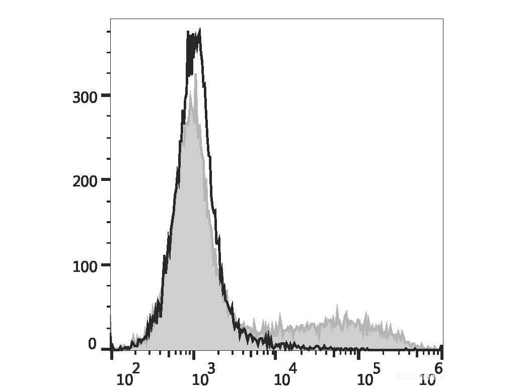 APC Anti-Mouse IL-17A Antibody[17F3]