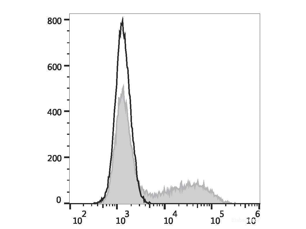 Elab Fluor® Violet 450 Anti-Mouse IL-17A Antibody[17F3]
