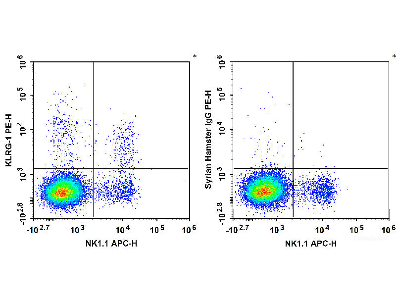 PE Anti-Human/Mouse KLRG-1 Antibody[2F1]
