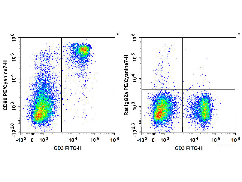 PE/Cyanine7 Anti-Mouse CD90 Antibody[M5/49.4.1]