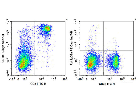 PE/Cyanine7 Anti-Mouse CD90 Antibody[M5/49.4.1]