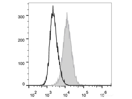 PE Anti-Mouse CD34 Antibody[RAM34]