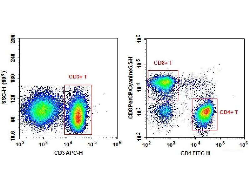 Anti-Human CD3-APC/CD4-FITC/CD8a-PerCP-Cyanine5.5 Cocktail, Biomarkers, Elabscience Biotechnology, MSE Supplies