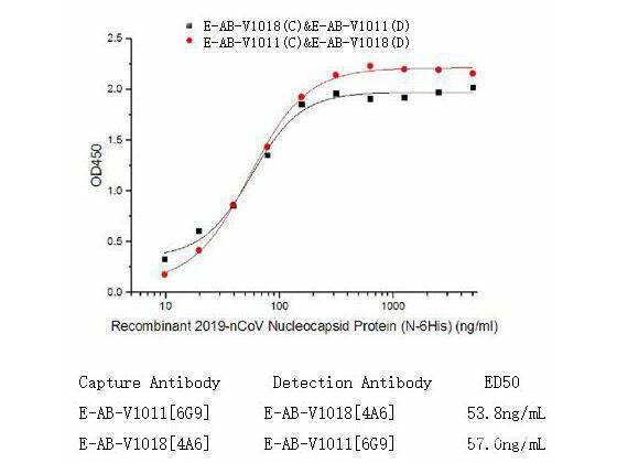 SARS-COV-2 NP Monoclonal Antibody(2019-nCoV) Host: Human