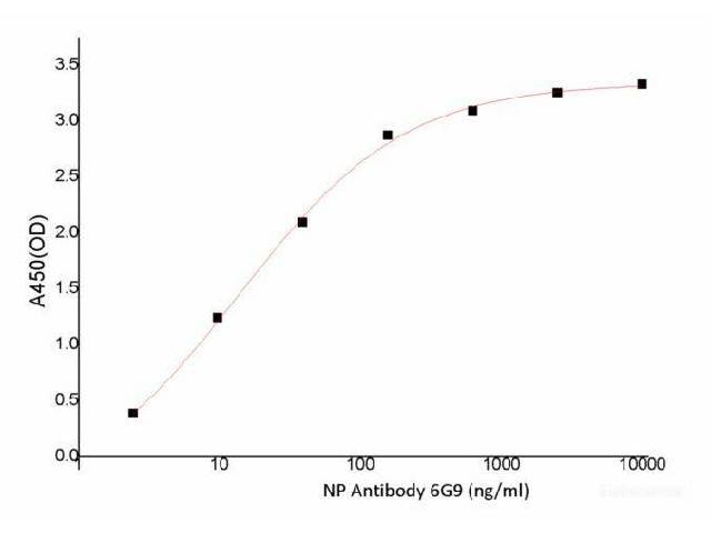SARS-COV-2 NP Monoclonal Antibody(2019-nCoV) Host: Human