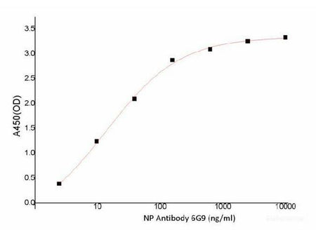 SARS-COV-2 NP Monoclonal Antibody(2019-nCoV) Host: Human