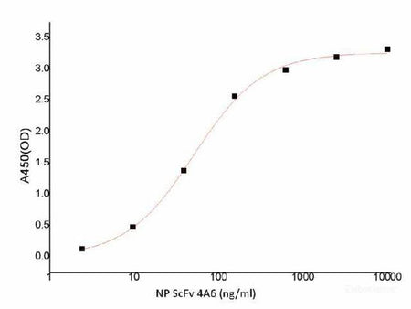 SARS-COV-2 NP ScFv Monoclonal Antibody(2019-nCoV)