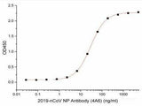 SARS-COV-2 NP Monoclonal Antibody(2019-nCoV)