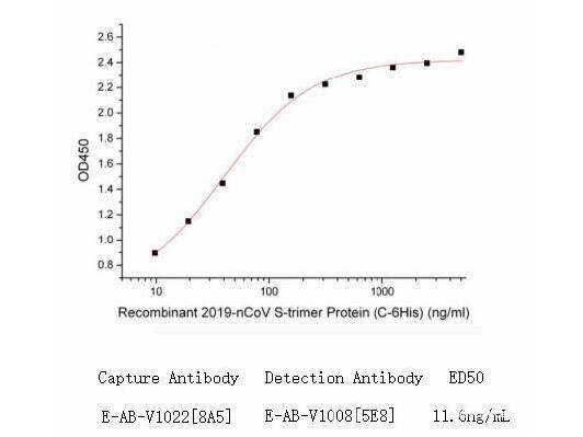 Anti-2019-nCoV S-mIgG1 Neutralizing Antibody