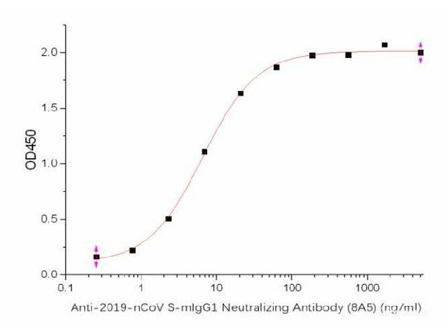 Anti-2019-nCoV S-mIgG1 Neutralizing Antibody
