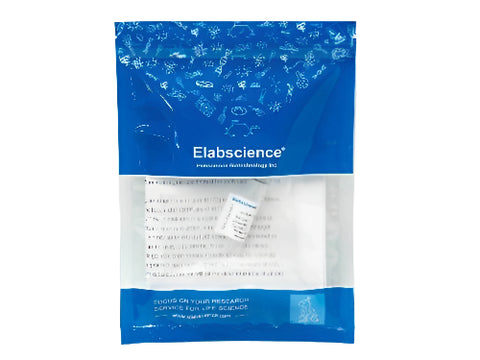 Anti-Ebola Virus EBOV(Subtype Zaire, Strain H.sapiens-wt/GIN/2014/Kissidougou-C15) VP24 Polyclonal Antibody Store at -20°C