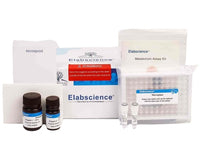 ATP Chemiluminescence Assay Kit - MSE Supplies LLC
