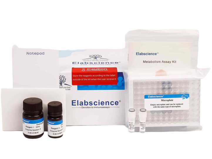 Catalase (CAT) Activity Fluorometric Assay Kit, Cell Assays, Elabscience Biotechnology, MSE Supplies