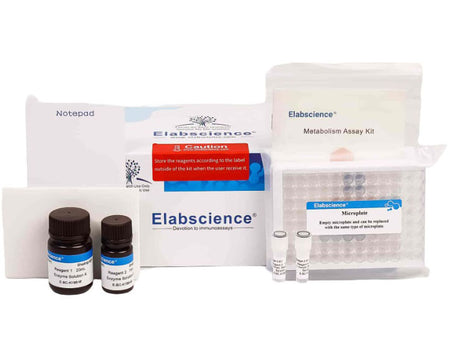 Catalase (CAT) Activity Fluorometric Assay Kit, Cell Assays, Elabscience Biotechnology, MSE Supplies