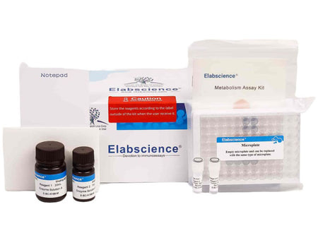 Xanthine Oxidase (XOD) Activity Fluorometric Assay Kit, Cell Assays, Elabscience Biotechnology, MSE Supplies