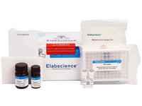 Glucose (GLU) Fluorometric Assay Kit, Cell Assays, Elabscience Biotechnology, MSE Supplies