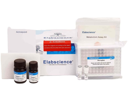 Glucose Uptake Fluorometric Assay Kit, Cell Assays, Elabscience Biotechnology, MSE Supplies