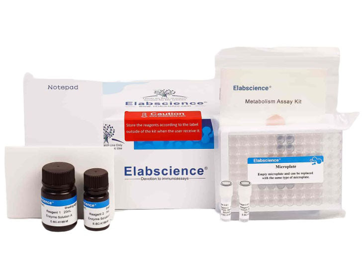 Aldehyde Dehydrogenase (ALDH) Fluorometric Activity Assay Kit, Cell Assays, Elabscience Biotechnology, MSE Supplies