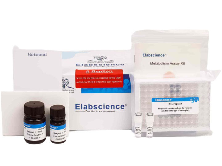 Adipogenesis Fluorometric Assay Kit, Cell Assays, Elabscience Biotechnology, MSE Supplies