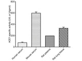 Angiotensin Converting Enzyme (ACE) Activity Assay Kit, Cell Assays, Elabscience Biotechnology, MSE Supplies