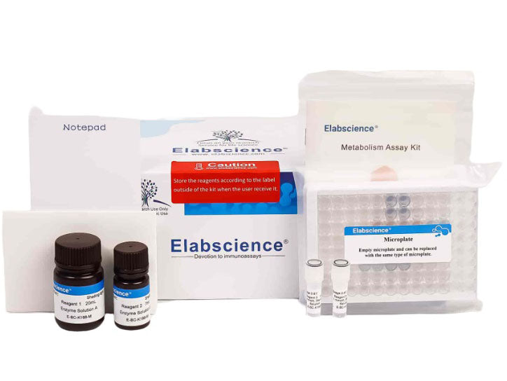 Angiotensin Converting Enzyme (ACE) Activity Assay Kit, Cell Assays, Elabscience Biotechnology, MSE Supplies