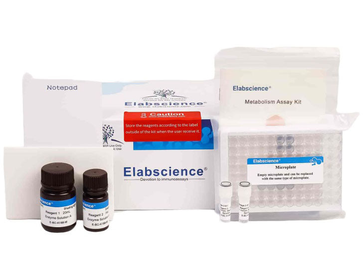 Free Cholesterol (FC) Colorimetric Assay Kit, Cell Assays, Elabscience Biotechnology, MSE Supplies