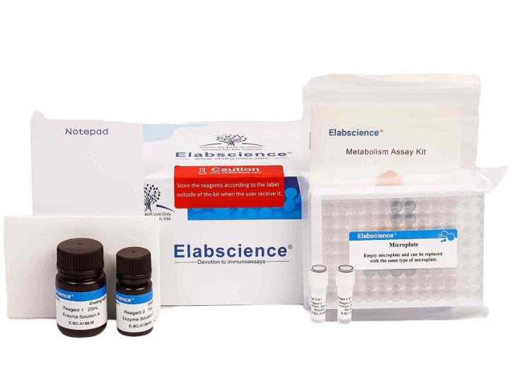 α-Amylase and β-Amylase Activity Assay Kit, Cell Assays, Elabscience Biotechnology, MSE Supplies