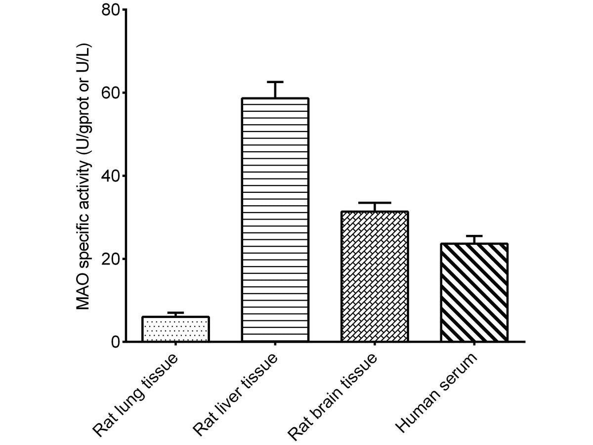 Monoamine Oxidase (MAO) Activity Assay Kit, Cell Assays, Elabscience Biotechnology, MSE Supplies