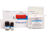 Monoamine Oxidase (MAO) Activity Assay Kit, Cell Assays, Elabscience Biotechnology, MSE Supplies