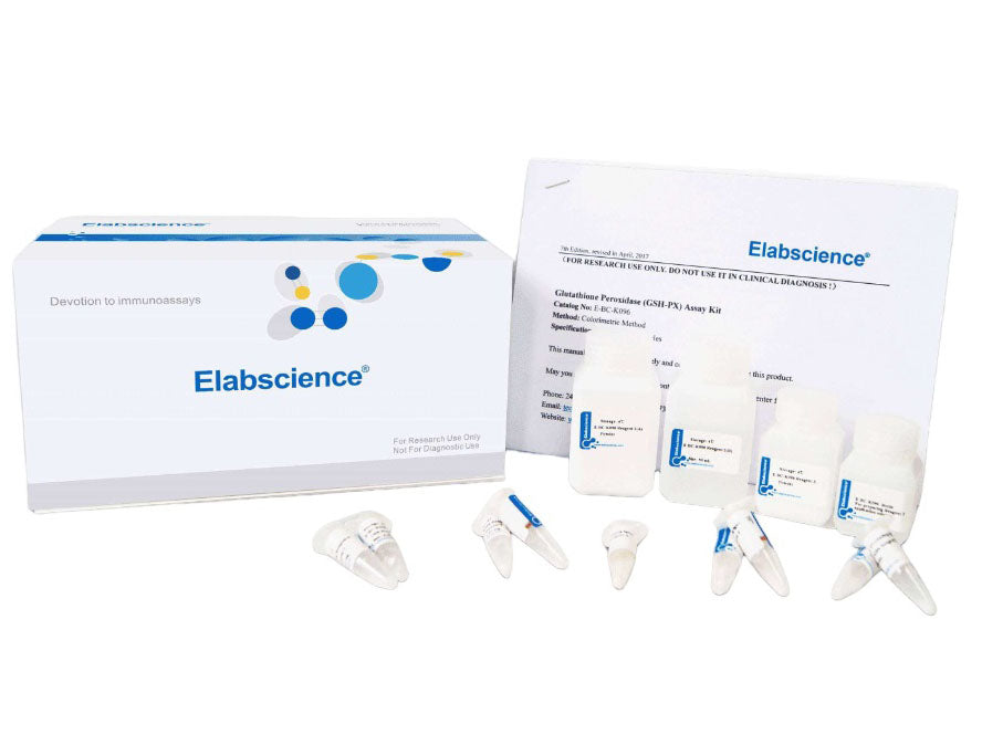 Non-esterified Free Fatty Acids (NEFA) Colorimetric Assay Kit, Cell Assays, Elabscience Biotechnology, MSE Supplies