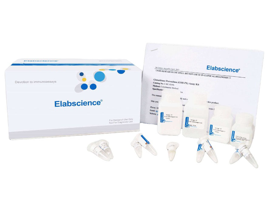 Uric Acid (UA) Colorimetric Assay Kit, Cell Assays, Elabscience Biotechnology, MSE Supplies