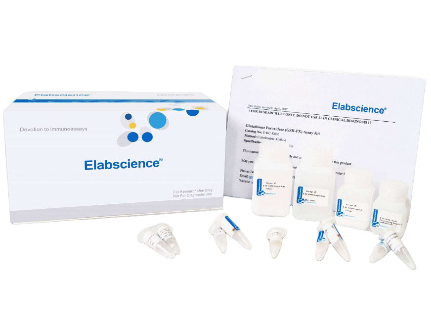 Uric Acid (UA) Colorimetric Assay Kit, Cell Assays, Elabscience Biotechnology, MSE Supplies