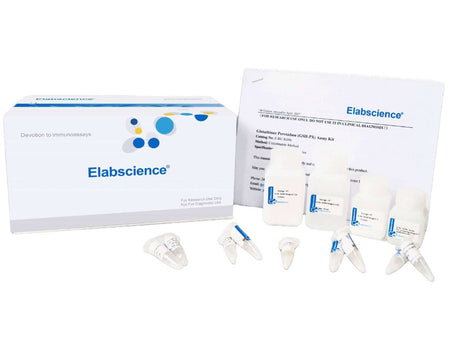 Uric Acid (UA) Colorimetric Assay Kit, Cell Assays, Elabscience Biotechnology, MSE Supplies