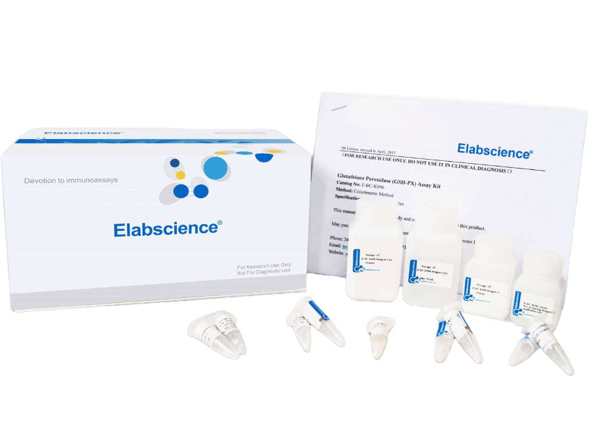 Nitric Oxide (NO) Colorimetric Assay Kit, Cell Assays, Elabscience Biotechnology, MSE Supplies
