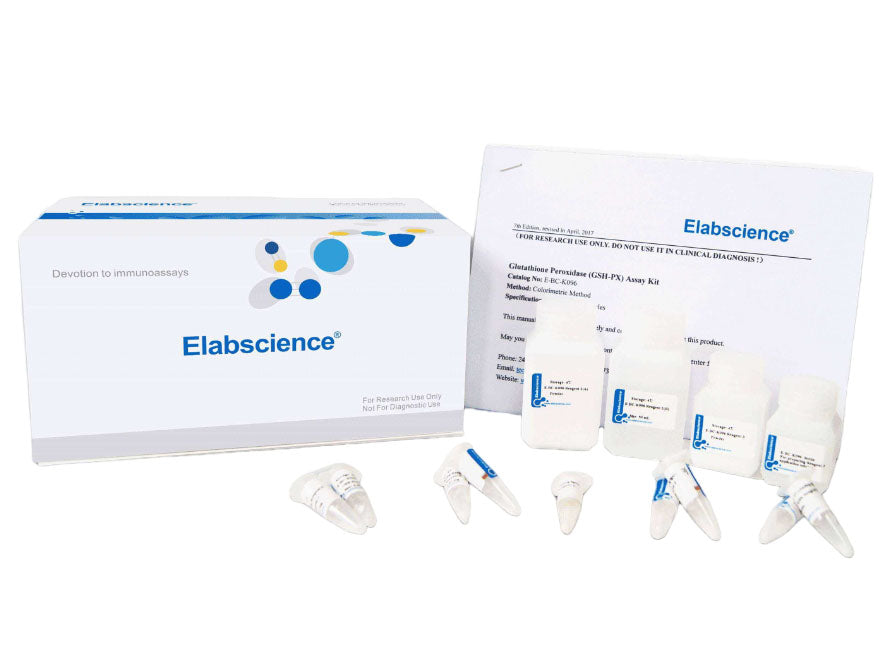 Lactate Dehydrogenase (LDH) Activity Assay Kit– MSE Supplies LLC