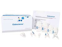 Hydroxyproline (Hyp) Colorimetric Assay Kit (Alkali Hydrolysis Method), Cell Assays, Elabscience Biotechnology, MSE Supplies