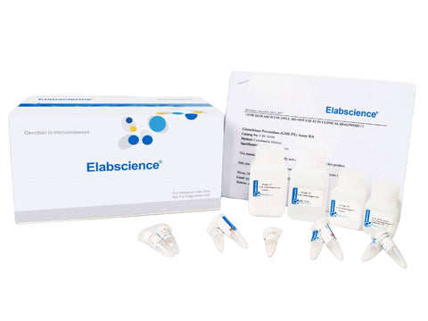 Hydroxyproline (Hyp) Colorimetric Assay Kit (Alkali Hydrolysis Method), Cell Assays, Elabscience Biotechnology, MSE Supplies