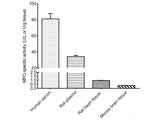 Myeloperoxidase (MPO) Activity Assay Kit, Cell Assays, Elabscience Biotechnology, MSE Supplies