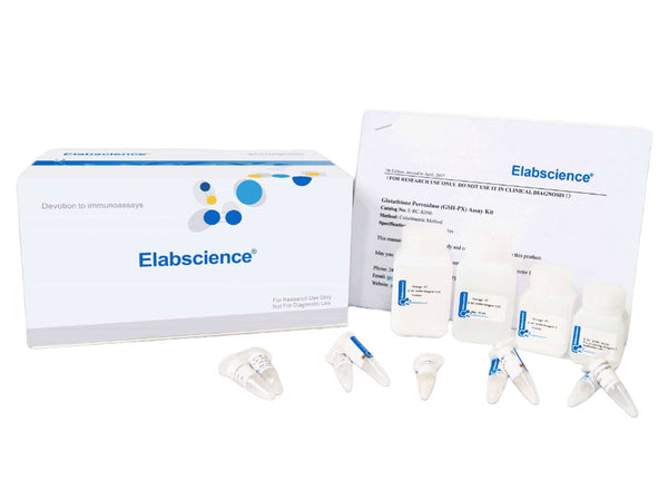 Total Glutathione (T-GSH)/Oxidized Glutathione Colorimetric Assay Kit – MSE Supplies