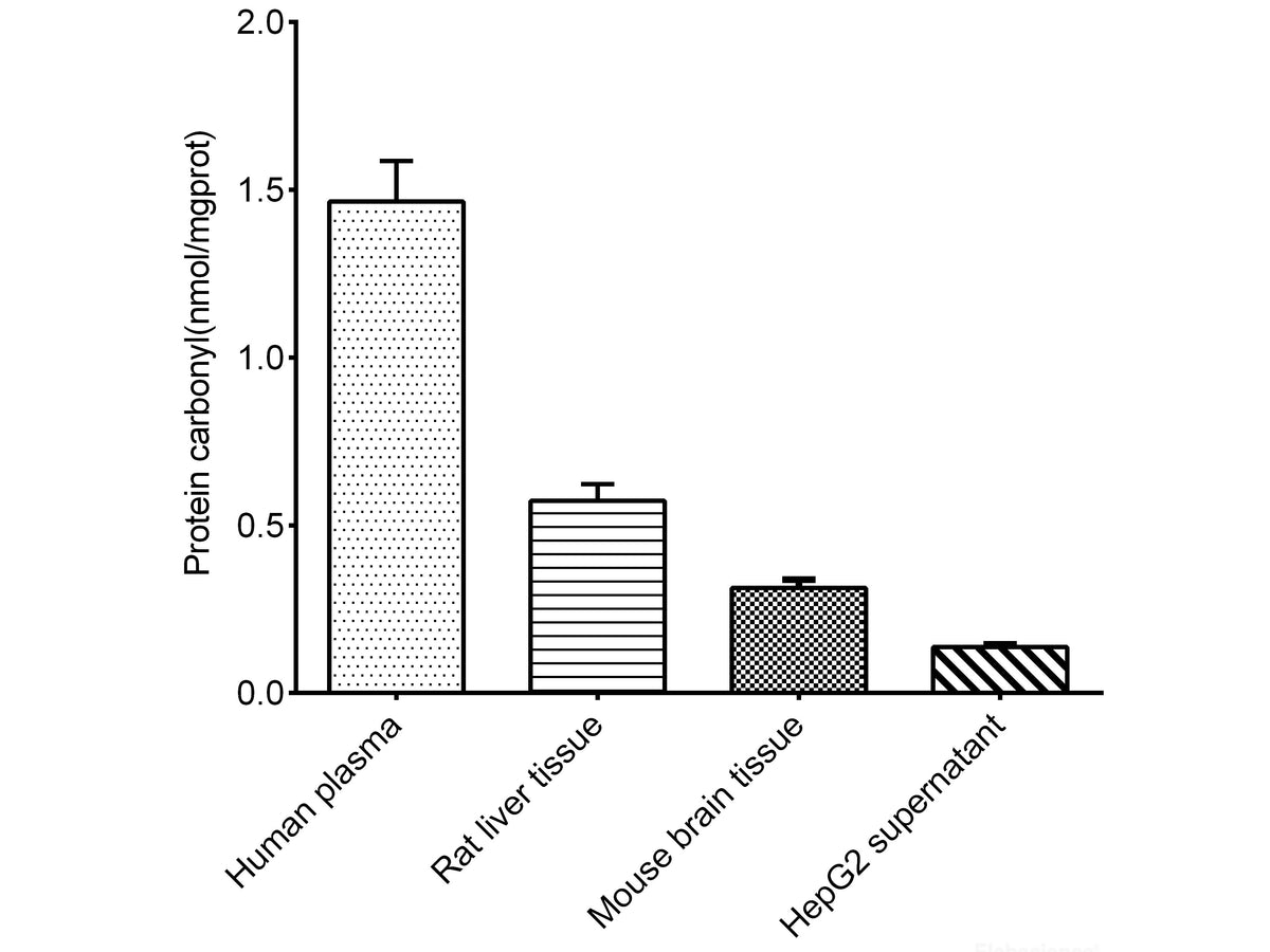 Protein Carbonyl Colorimetric Assay Kit (Tissue and Serum Samples), Cell Assays, Elabscience Biotechnology, MSE Supplies