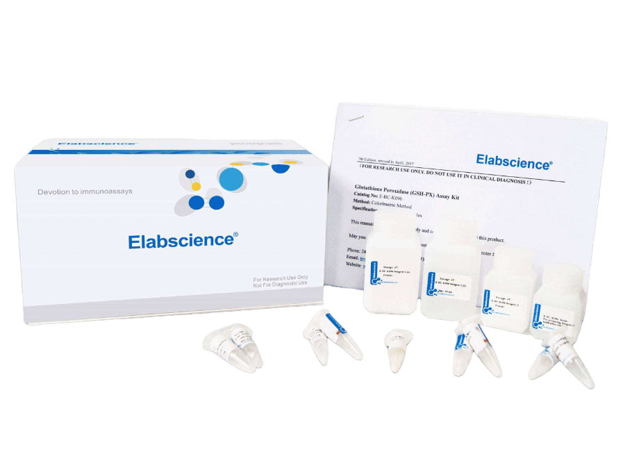Reactive Oxygen Species (ROS) Fluorometric Assay Kit – MSE Supplies