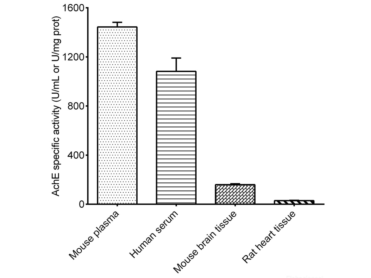 Acetylcholinesterase (AchE) Activity Assay Kit – MSE Supplies