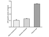 Ascorbate Peroxidase (APX) Activity Assay Kit, Cell Assays, Elabscience Biotechnology, MSE Supplies