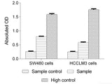 Lactate Dehydrogenase (LDH) Cytotoxicity Colorimetric Assay Kit, Cell Assays, Elabscience Biotechnology, MSE Supplies