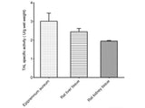 Tyrosine Ammonia-lyase (TAL) Activity Assay Kit, Cell Assays, Elabscience Biotechnology, MSE Supplies